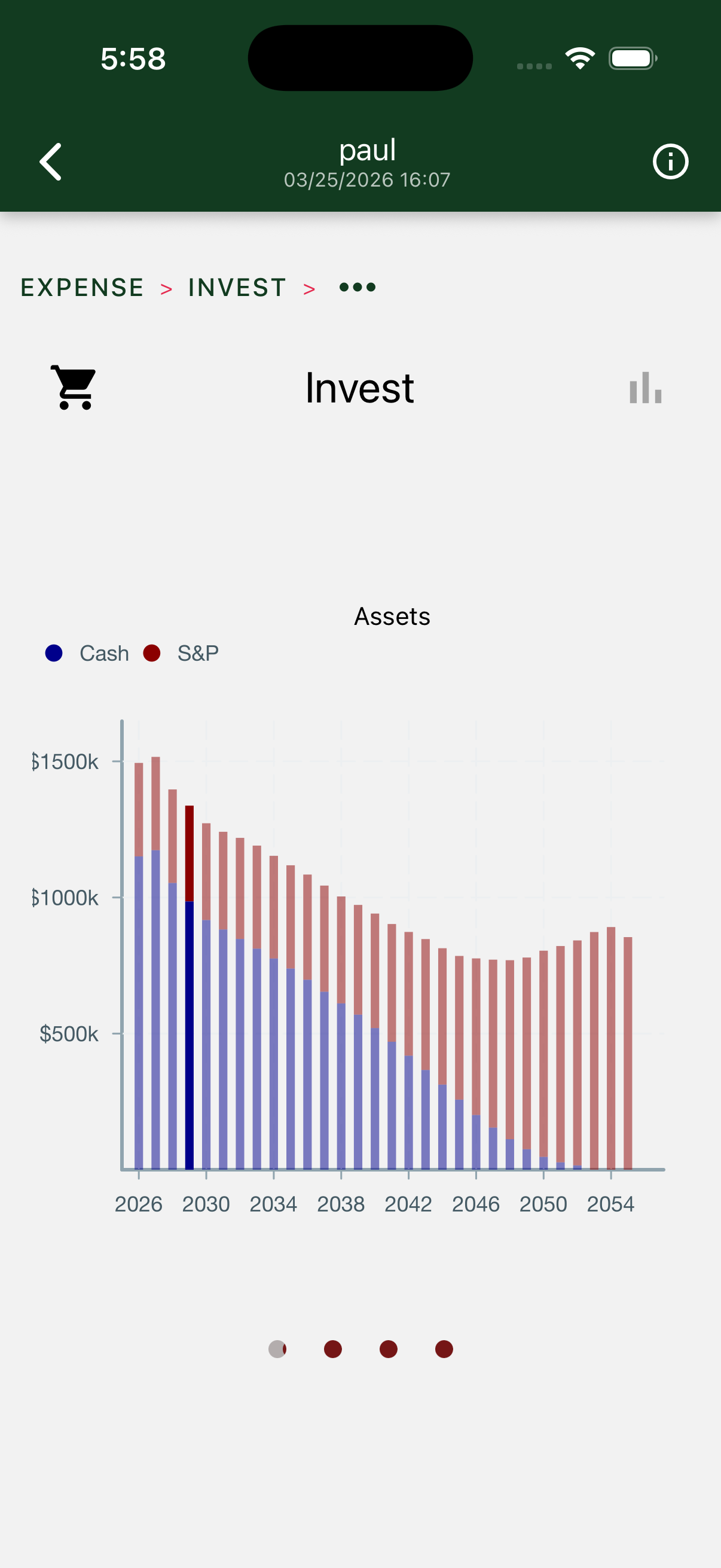 Investment balances